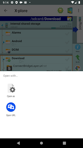 Open Any URL Screen 2