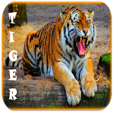 Tiger Ringtones icon
