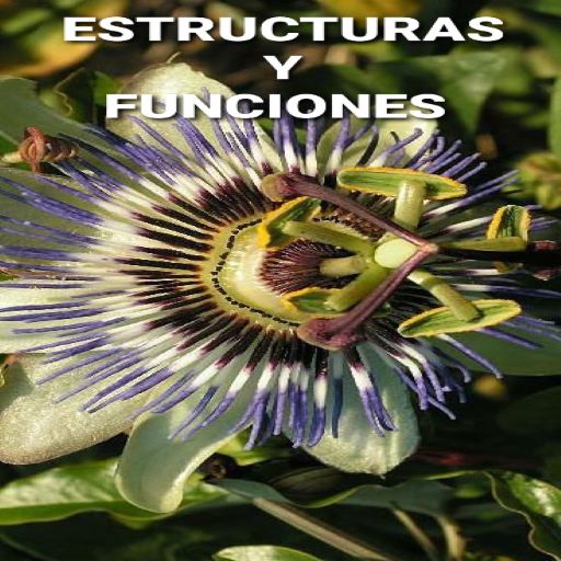 BOTÁNICA BÁSICA logo