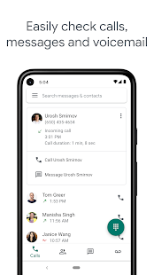 Google Voice Screenshot