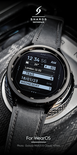 SH048 Watch Face, WearOS watch Screen 3