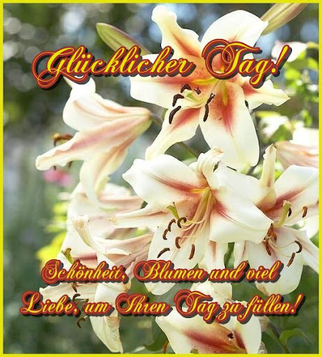 Glücklicher Tag! Screen 2