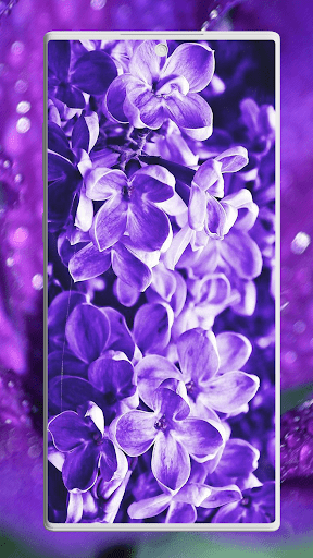 Screenshot of Flower Wallpapers