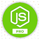 Learn Node.js Programming PRO - Node Js Tutorials دانلود در ویندوز
