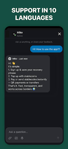 LocalPay: Stablecoin Wallet screenshot 4