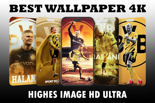 Erling Haaland Wallpaper HD 4K