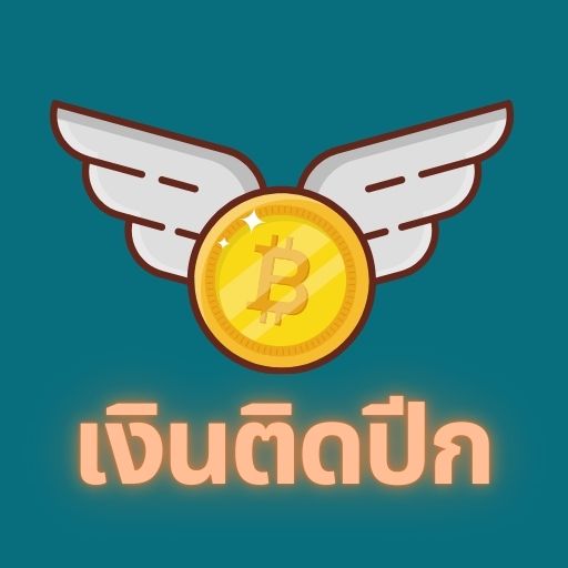 เงินติดปีก รวมสินเชื่อเงินกู้ logo