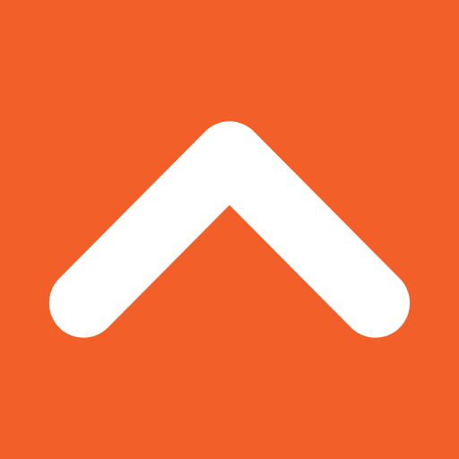 Nepo logo