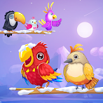 Cute Bird Sort : Color Puzzle