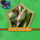 Sound Cricket Mp3 icon