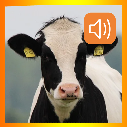 Cow Sounds App 2.0 Icon