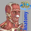 3D Anatomia