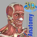 3D تشريح