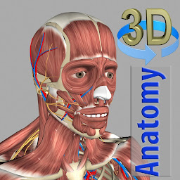 3D Anatomy հավելվածի պատկերակի նկար
