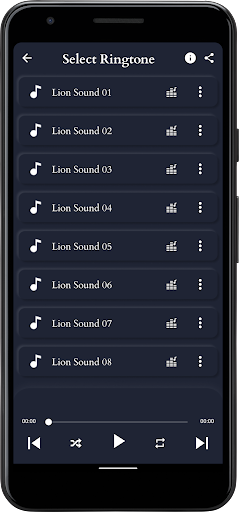 Lion Sounds Screen 2