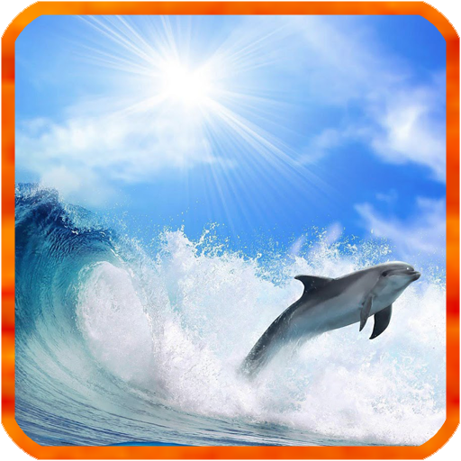 Dolphin Live Wallpaper