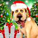 Dog Advent Calendar for Xmas Download on Windows