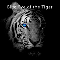 Theme -Blue Eye of the Tiger-