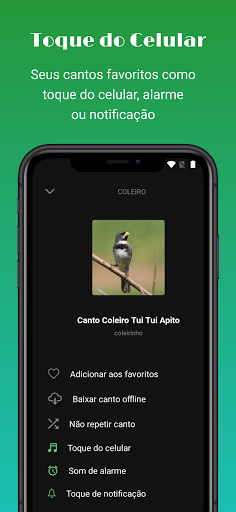 Sounds of birds Screen 2