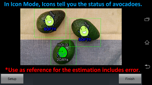 Avocado Checker Screen 2