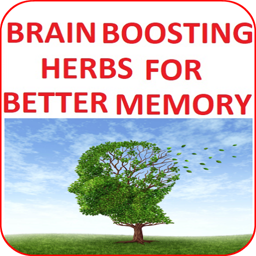 Brain-Boosting Herbs for Bette 3.1 Icon