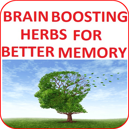 Brain-Boosting Herbs for Better Memory