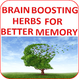 Brain-Boosting Herbs for Better Memory icon