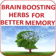 Brain-Boosting Herbs for Better Memory
