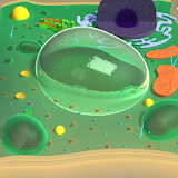 Plant Cell 3D icon