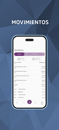 BCCH Inversiones Screen 3