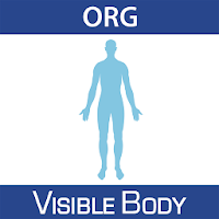 Physiology Animations 16 Org.