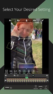 PutMask – Hide Faces In Videos 9