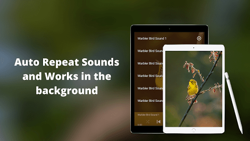 Warbler Bird Sounds Screen 3