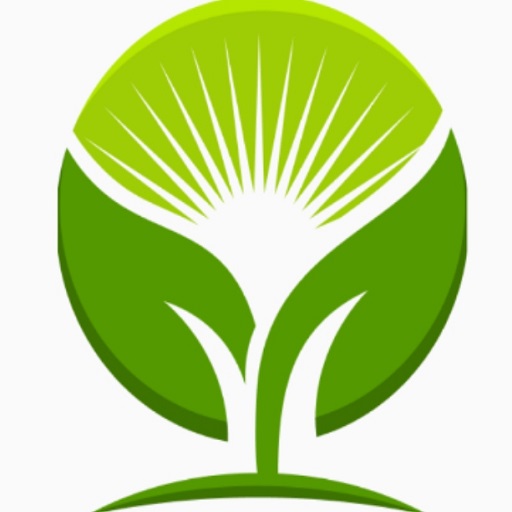 Lendico Pay logo