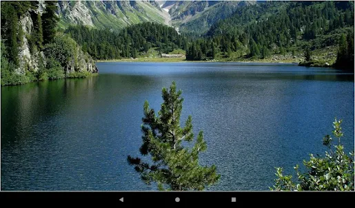 스위스 호수 월페이퍼