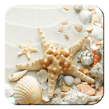 Seashell Live Backgrounds icon