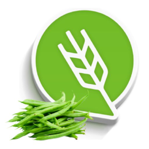 घेवडा लागवड #Agrownet™ logo