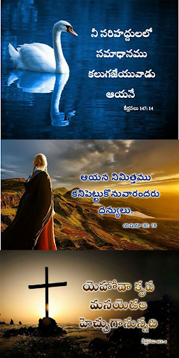 Android application Bible Telugu Quotes screenshort