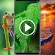 Nature Video Wallpaper RDT - Androidアプリ