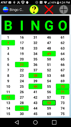 Bingo Caller - Screenshot 2
