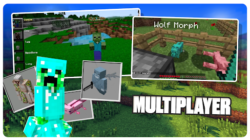 Morph Mod: Morphing Minecraft 4