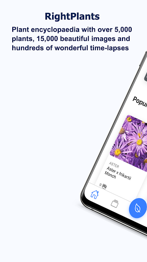 Android application Right Plants screenshort