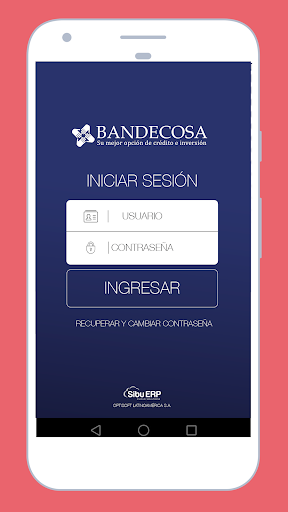 BANDECOSA Screen 2