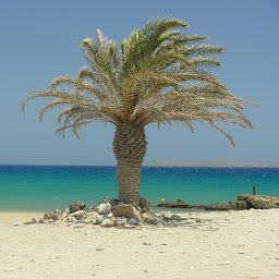 Imagen de ícono de Kreta App für den Urlaub