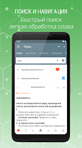 Explanatory Dictionary of Russian language 3.0.4.2 Apk 1