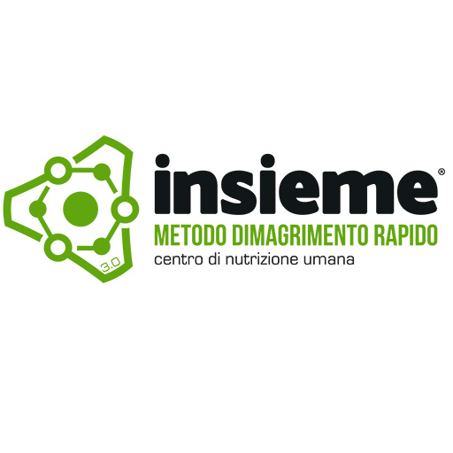 Insieme 3.0 logo