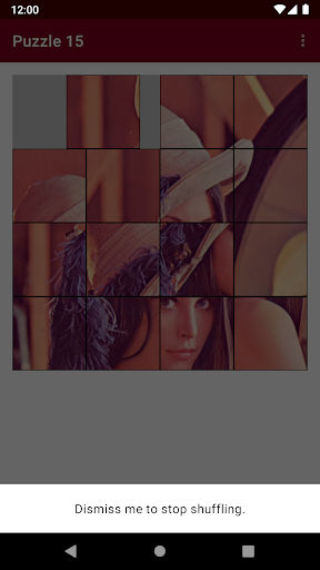 Puzzle 15 Screen 3