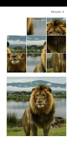 My Lion Puzzle