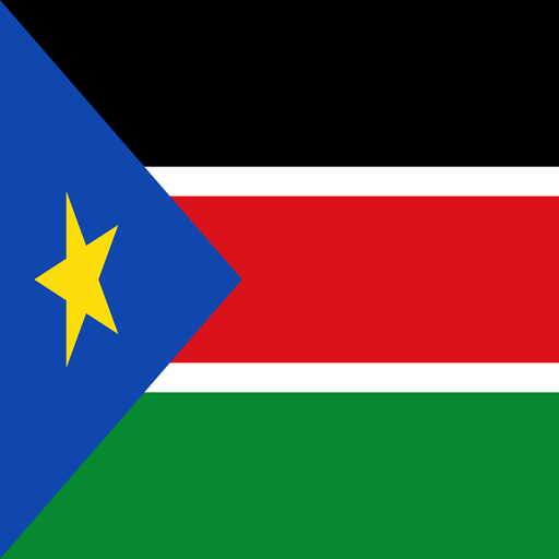Constitution of South Sudan Download on Windows