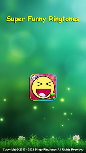 Aperçu de l'application